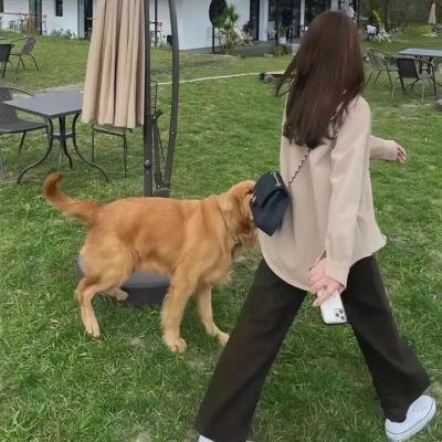 熟悉的陌生人